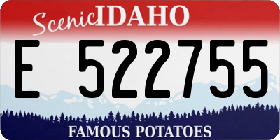 ID license plate E522755