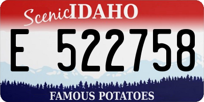 ID license plate E522758