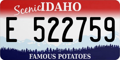 ID license plate E522759