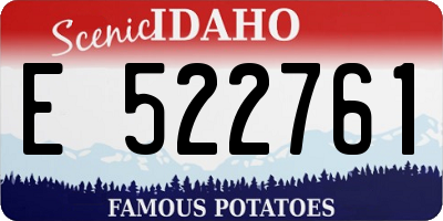 ID license plate E522761