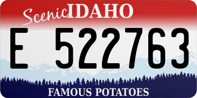 ID license plate E522763