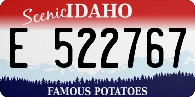 ID license plate E522767
