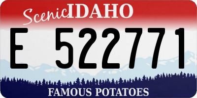 ID license plate E522771