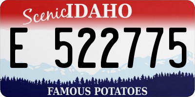 ID license plate E522775