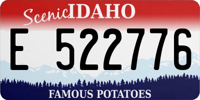 ID license plate E522776