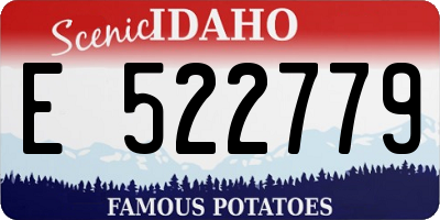 ID license plate E522779