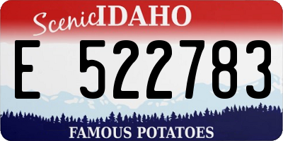 ID license plate E522783