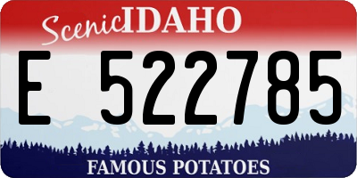 ID license plate E522785