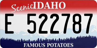 ID license plate E522787