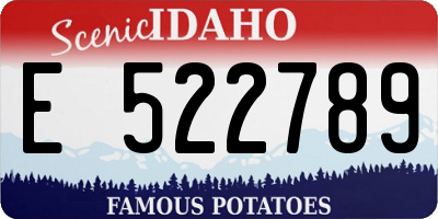 ID license plate E522789