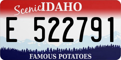 ID license plate E522791