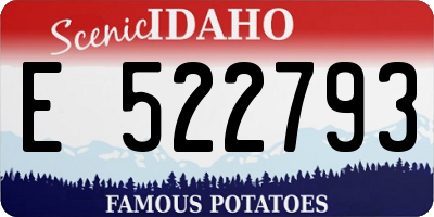 ID license plate E522793