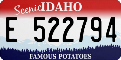 ID license plate E522794