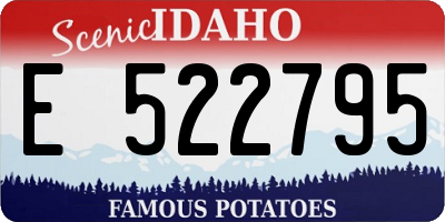 ID license plate E522795