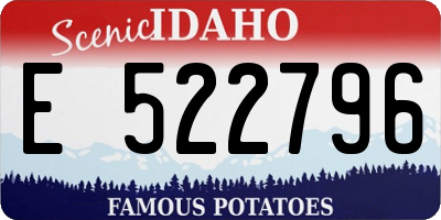 ID license plate E522796