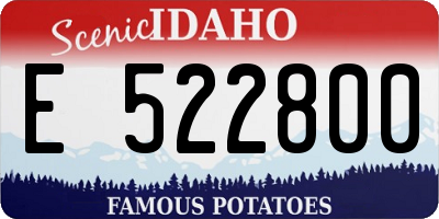 ID license plate E522800