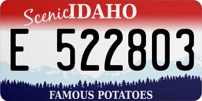 ID license plate E522803