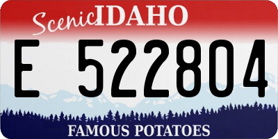 ID license plate E522804