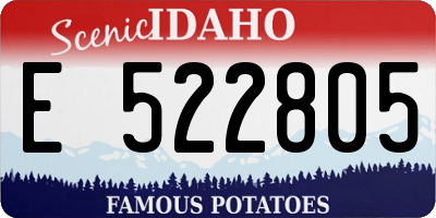 ID license plate E522805