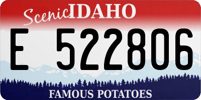 ID license plate E522806