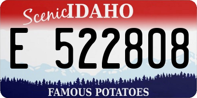 ID license plate E522808