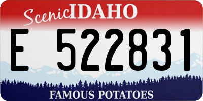 ID license plate E522831