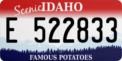 ID license plate E522833