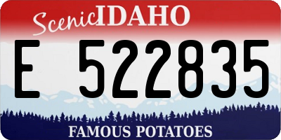 ID license plate E522835