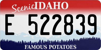 ID license plate E522839