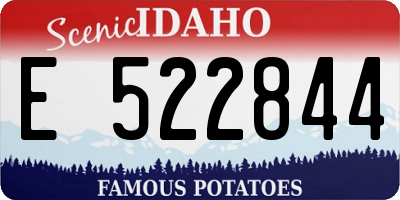 ID license plate E522844