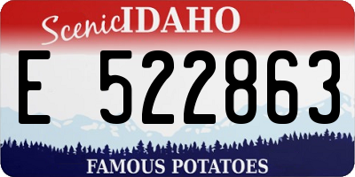 ID license plate E522863
