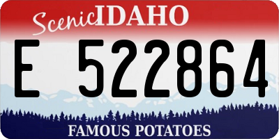 ID license plate E522864