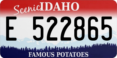 ID license plate E522865