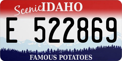ID license plate E522869