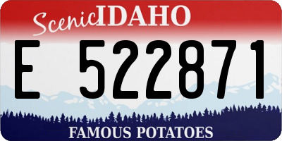 ID license plate E522871