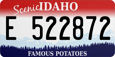 ID license plate E522872