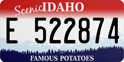 ID license plate E522874