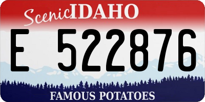 ID license plate E522876