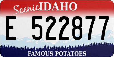 ID license plate E522877