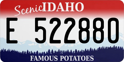 ID license plate E522880