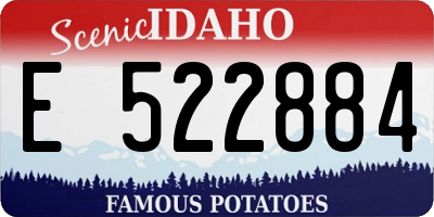 ID license plate E522884