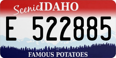 ID license plate E522885