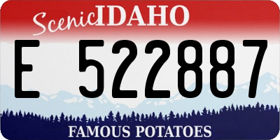 ID license plate E522887