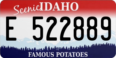 ID license plate E522889