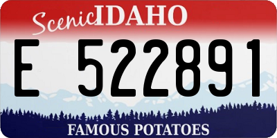 ID license plate E522891