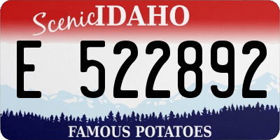ID license plate E522892