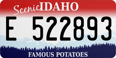 ID license plate E522893