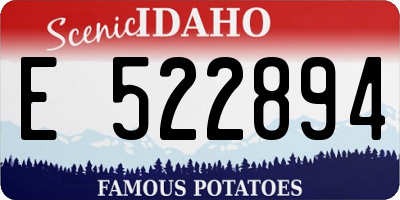 ID license plate E522894