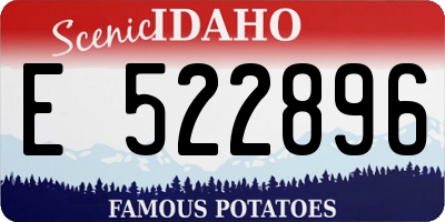 ID license plate E522896
