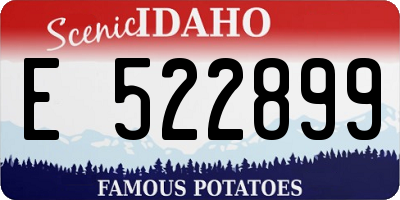 ID license plate E522899
